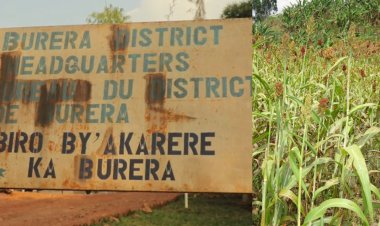 Burera: Abari guhinga amasaka bari gucibwa amafaranga abandi bagafungwa n'inzego z'ibanze