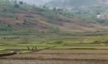 Gisagara: Abahinzi b’umuceri barasaba Leta kugenzura amakoperative bagemurira umusaruro