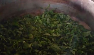 Nyaruguru: ahari ubusitani bahahinze imboga zo gutekera abanyeshuli