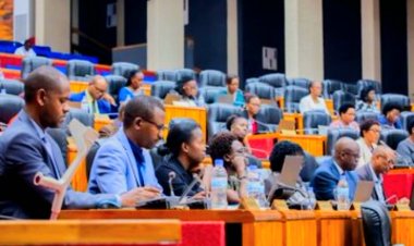 In Rwanda, Members of Parliament call for technology to reduce waiting time at health centers.