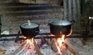 The Entrepreneurs are encouraged to participate in initiatives aimed at combating environmental pollution and improving living standards