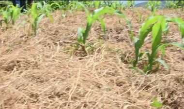 Abakora ubuhinzi barakangurira bagenzi babo kugana ibigo by’imari