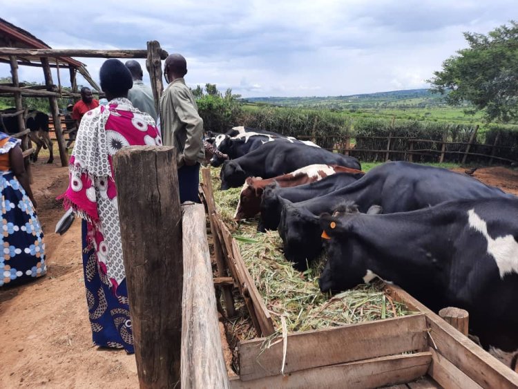 Amafaranga yagenewe ubworozi kuba ari macye biteye impungenge