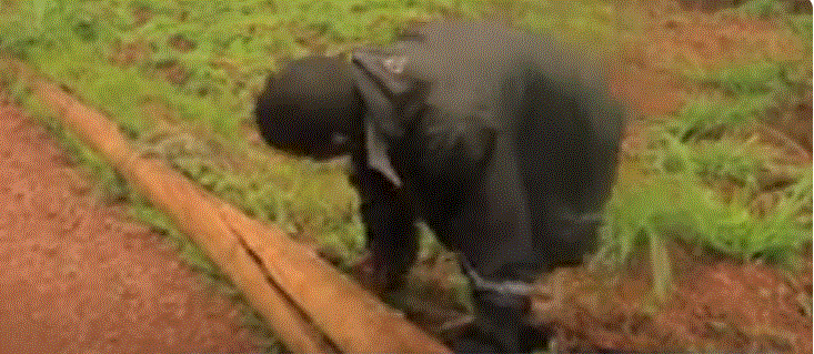 Gicumbi: Batewe agahinda no kumara imyaka itatu baciwe amafaranga ngo bahabwe umuriro