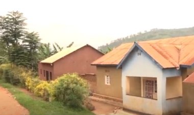 Gatsibo:  Bahangayikishijwe n’abajura b’imyaka n’amatungo 