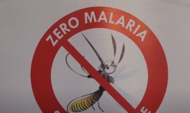 Gutanga inzitiramibu mu byiciro byibasirwa na Malaria byagabanyije umubare w'abayirwara
