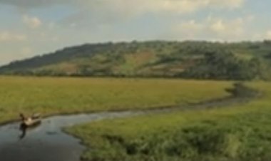 Burera:  Barasaba ingurane y’ubutaka bwabo bwometse ku gishanga cy'urugezi