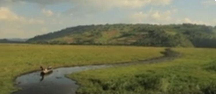 Burera:  Barasaba ingurane y’ubutaka bwabo bwometse ku gishanga cy'urugezi