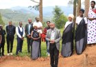 Urugendo rw’Abarokotse Jenoside yakorewe Abatutsi mu kwiyubaka