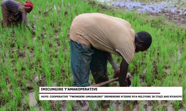 Huye: Koperative "Twongere umusaruro" iremerewe n'ideni rya miliyoni 30Frw itazi aho ryavuye
