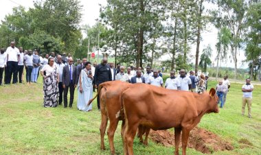 Iburasirazuba: PSF yoroje inka abarokotse Jenoside yakorewe Abatutsi 1994