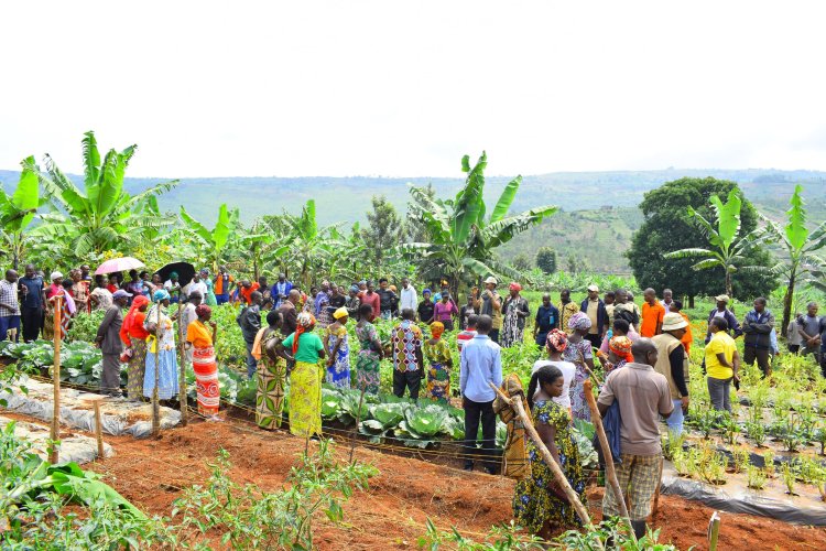 Uruhare rw'ibigo by'imari mu kuzamura umusaruro w'ubuhinzi n'ubworozi