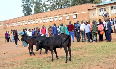 Urubyiruko rwo mu karere ka Rwamagana rwatangije gahunda ya Girinka Rubyiruko