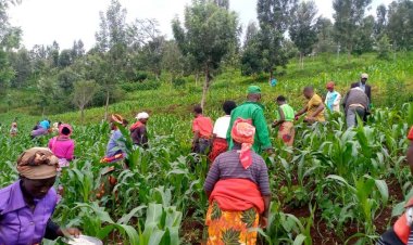 MINAGRI igiye gushyiraho uburyo bwo kwandika abaguzi b'umusaruro w'ubuhinzi
