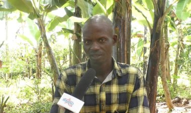 Hari abagabo abatita ku ihame ry’uburinganire n’ubwuzuzanye bikavamo ihohoterwa