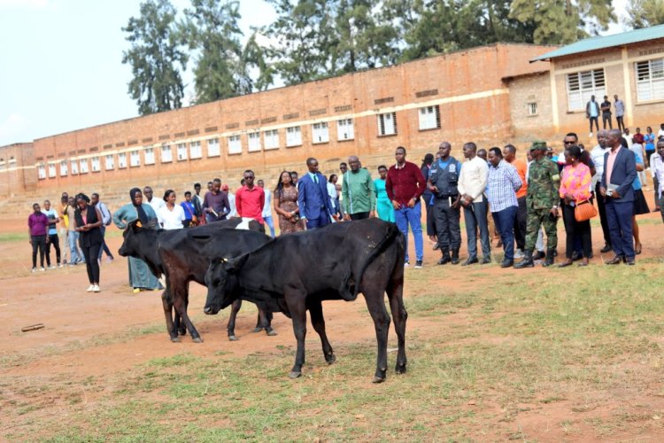 Urubyiruko rwo mu karere ka Rwamagana rwatangije gahunda ya Girinka Rubyiruko
