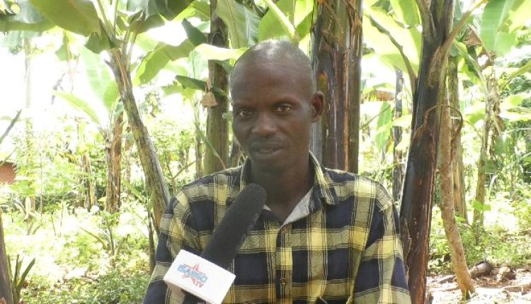 Hari abagabo abatita ku ihame ry’uburinganire n’ubwuzuzanye bikavamo ihohoterwa