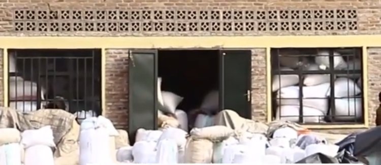 Rice farmers are lamenting the lack of a market for their produce