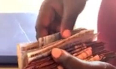 Hari abatarasobanukirwa ibyo kubyaza umusaruro ibigo by’imari