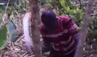 Huye -Kigoma: Barasaba amahugurwa n'ibikoresho bibafasha gusazura ikawa