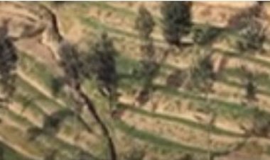 Nyamagabe: Barishyuza amafaranga bakoreye mu materasi y'indinganire