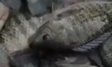 Ese kuki kurya amafi bisigaye bifatwa nk’iby’abifite?