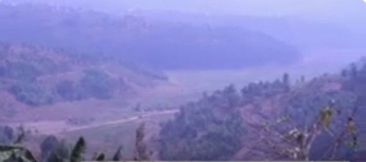 Huye: Barasaba ko igishanya cya Nyamugari gitunganywa bakabona umusaruro