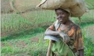 Abagabo n’abana barasabwa gufasha umugore imirimo  imuzitira