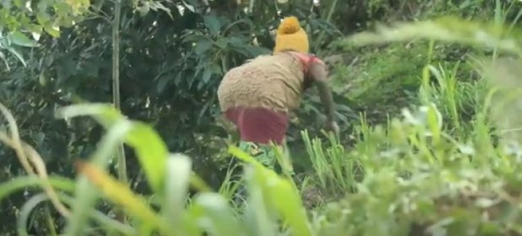 Amajyaruguru: abagore wo mu cyaro ntibaragirirwa icyizere n’ibigo by’imari