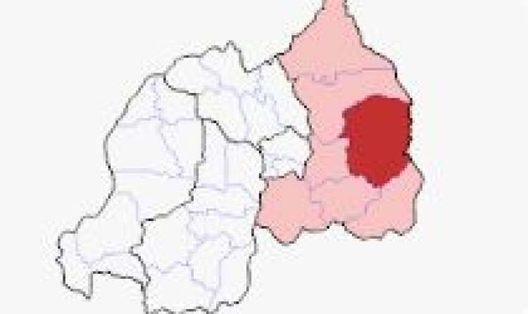 Kayonza: Abahinga mu gishanga cya Rwakabanda barasaba moteri zo kuhira