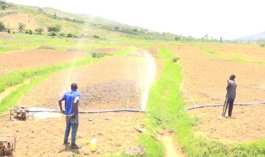 Iburasirazuba: Hari abazi ko ubwishingizi bw’ibihingwa n’amatungo bureba gusa abakire