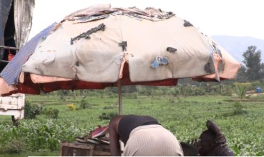 Kigali: Barinubira umwanda n'akajagari baterwa n'abakoresha imitaka y'ubucuruzi