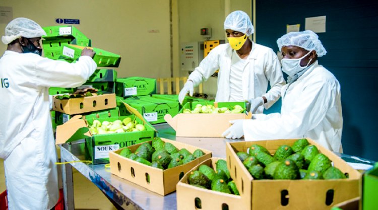 Hari Abanyarwanda bibaza uko ibyoherezwa mu mahanga byiyongera nyamara bo batihagije