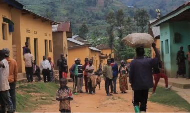 Gakenke - Nemba: Barashinja irondo ry'umwuga kugira uruhare mu kubiba, ubuyobozi burabihakana