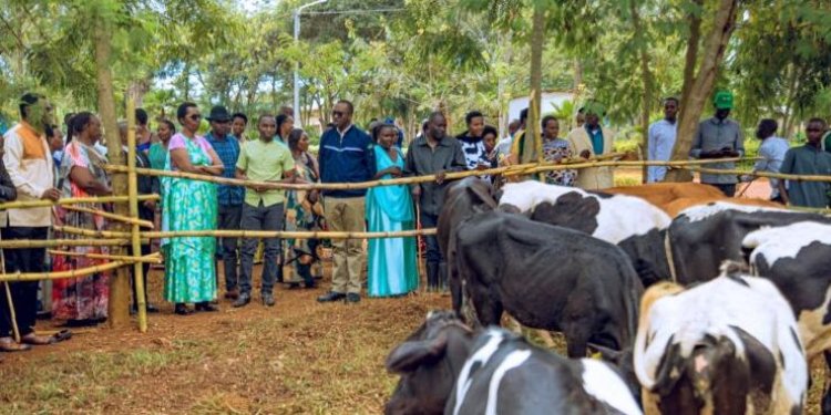 Kayonza: imiryango 16 yorojwe inka mu gufasha abagore bayirimo