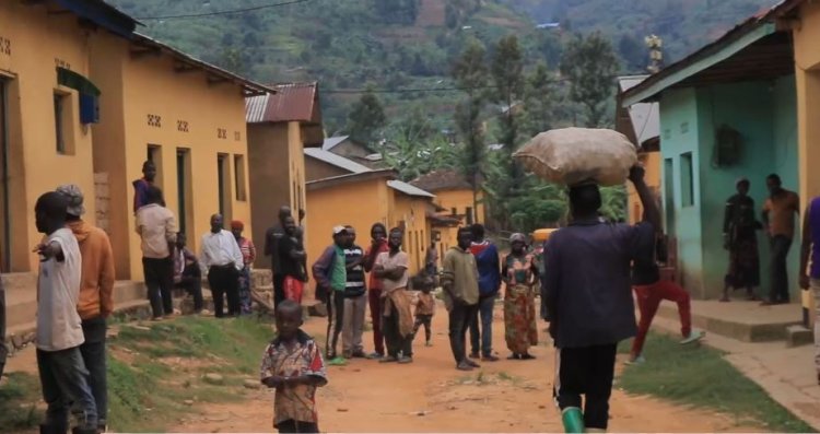 Gakenke - Nemba: Barashinja irondo ry'umwuga kugira uruhare mu kubiba, ubuyobozi burabihakana