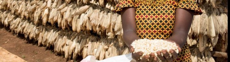 Amajyepfo: Barasaba ubufasha bwo kubona imashini ihungura ibigori