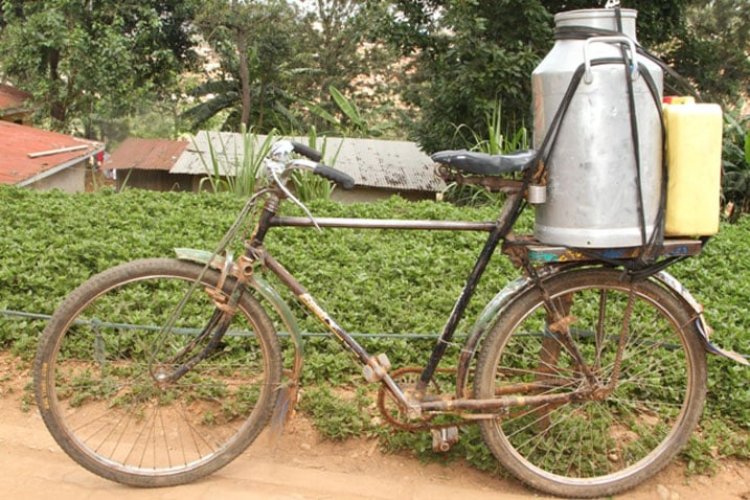 Hari abakeka ko amata y’amasukano bagura yaba avangwamo amazi