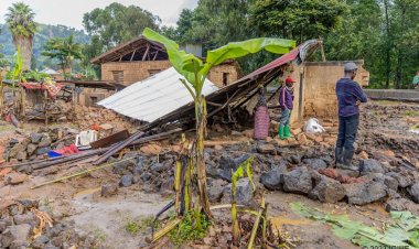 Rubavu: abagize komite z'imicungire y'ibiza bongerewe ubumenyi