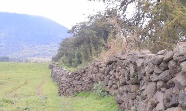 Musanze: Hari abaturanye n'ishyamba ry'ibirunga bahangayikishijwe n'inyamaswa zivamo zikabahutaza