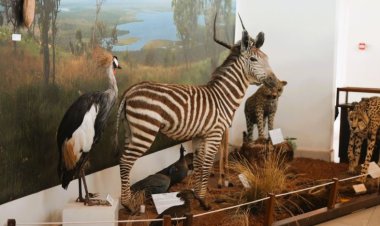 Ingoro ndangamurage zigaragara hirya no hino mu Rwanda zikwiye kubyara inyungu ku bazituriye