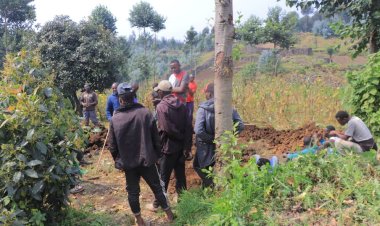 Musanze - Gataraga: Umugabo w’imyaka 26 yiyahuye anyoye umuti wica udukoko two mu myaka