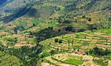 Amajyaruguru: Ubutaka ibihumbi 200 ntibwanditswe kuri bene bwo