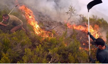 Impinduka z’ibihe zatumye ubushyuhe bwateje inkongi z'umuriro ziyongera inshuro 40