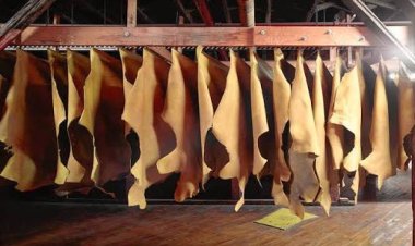 Hagiye kubakwa icyanya cy’inganda gitunganya ibikomoka ku mpu 