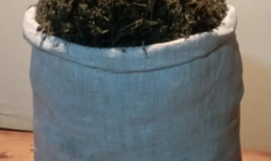 KIGALI: Polisi yafashe abagabo babiri batwaye ibiro 28 by’urumogi kuri moto