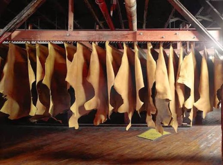 Hagiye kubakwa icyanya cy’inganda gitunganya ibikomoka ku mpu 