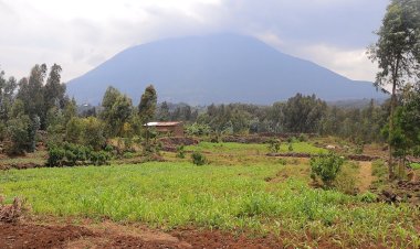 Musanze: Barasabira ubutabera umwana w'imyaka 9 wasambanyijwe n'abantu bataramenyekana