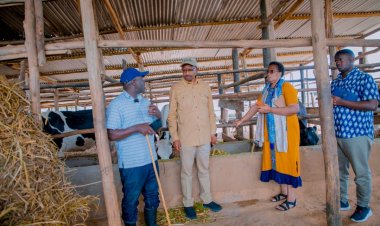 Izamuka ry’ibiciro by'ibiryo n'imiti by’amatungo byagaragajwe nka zimwe  mu mbogamizi zikomereye aborozi muri Nyagatare