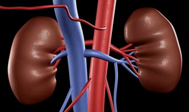 Abanyarwanda basabwe kwisuzumisha kare indwara z’Impyiko zibasira benshi ku Isi